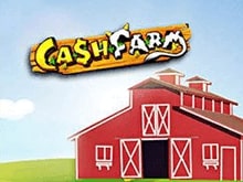CASH FARM